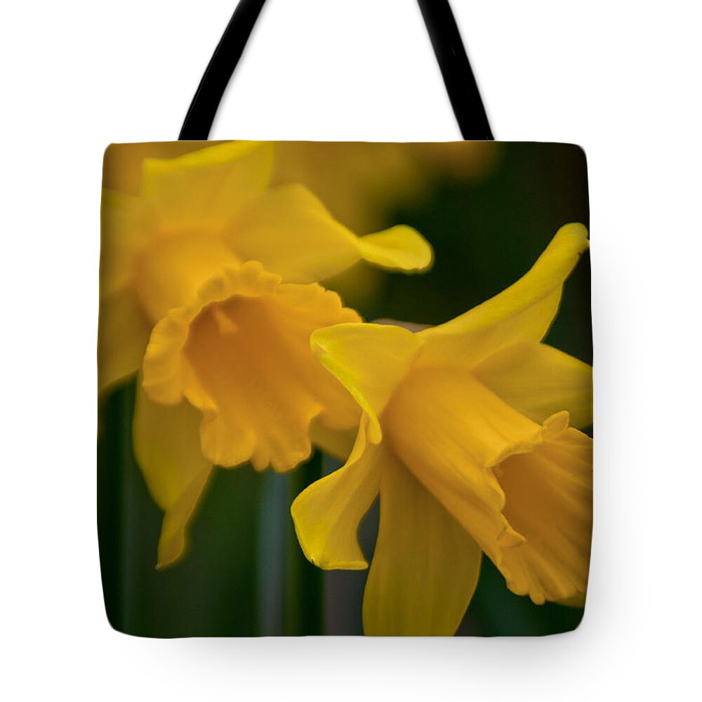 Daffodils Tote Bag featuring the photograph Shout Out of Spring by Tikvah's Hope