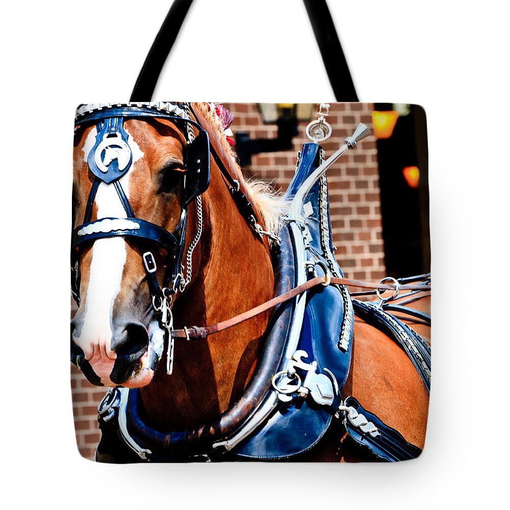 Horse Tote Bag featuring the photograph Show Horse by Ben Graham