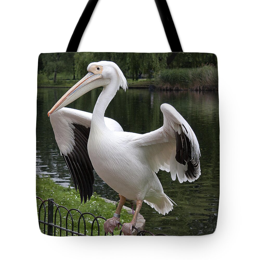 Beak Tote Bag featuring the photograph Showing off by Shirley Mitchell