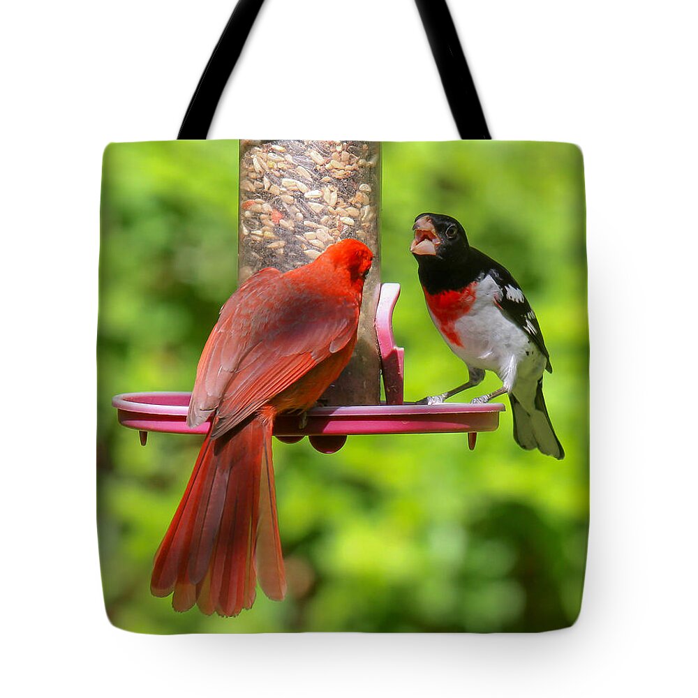 Rose Breasted Grosbeak Tote Bag featuring the photograph Shut Up by Robert L Jackson