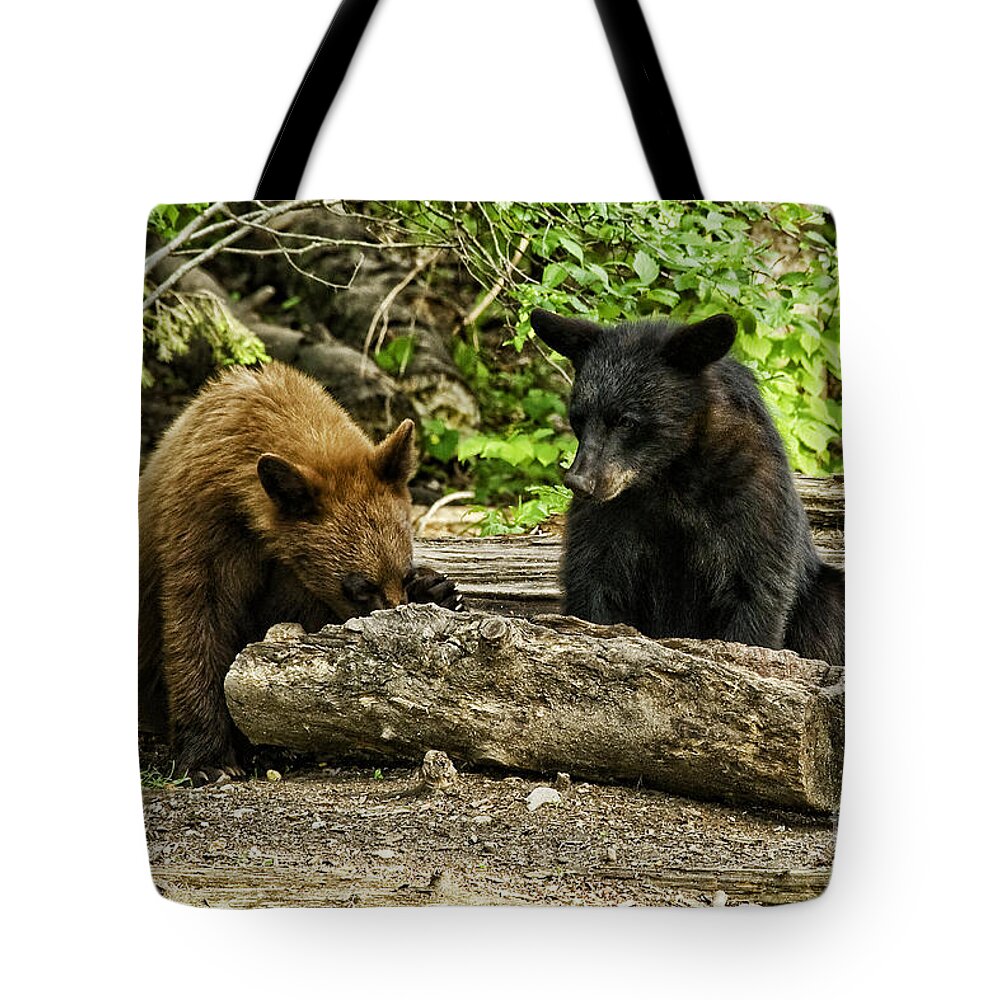 Bear Tote Bag featuring the photograph Sibling Lunch by Jan Killian