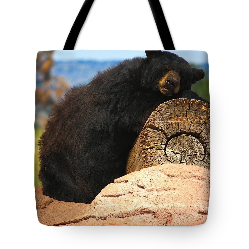 Bear Tote Bag featuring the photograph Siesta by Veronica Batterson