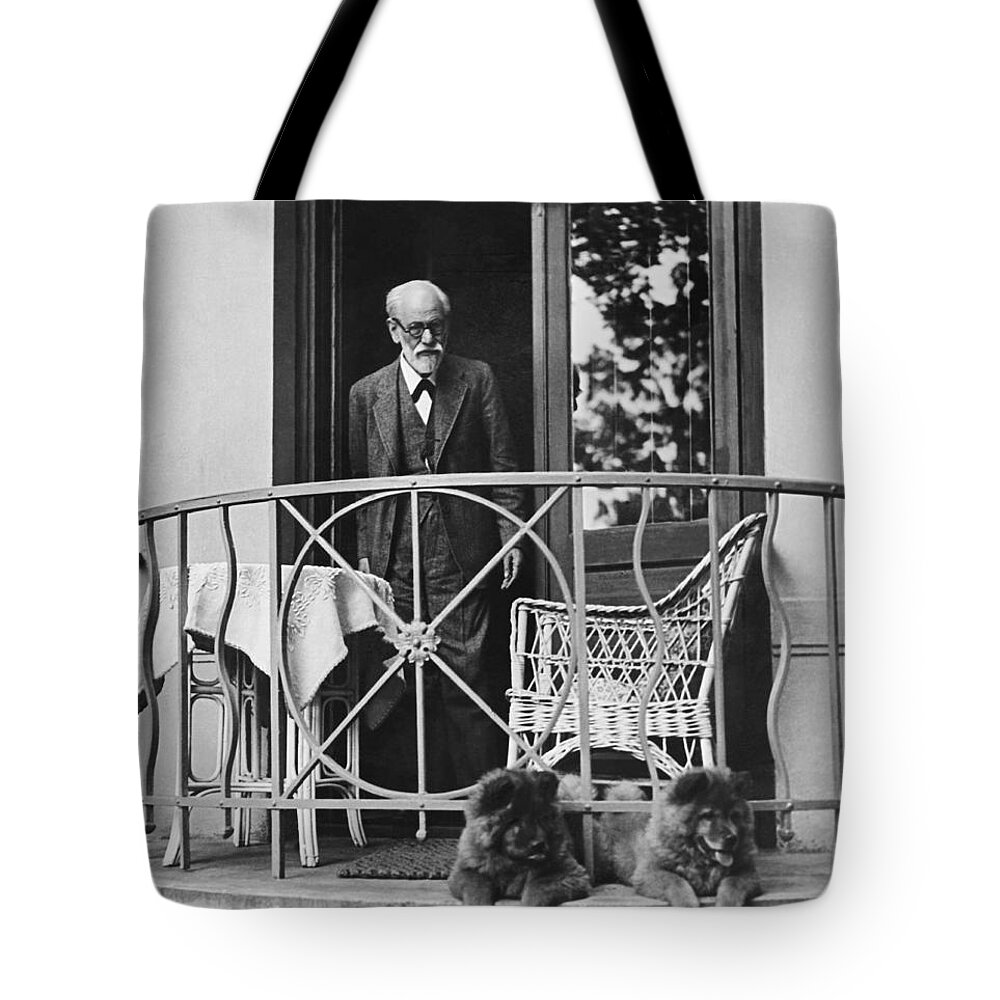 Two Guys Tote Bags