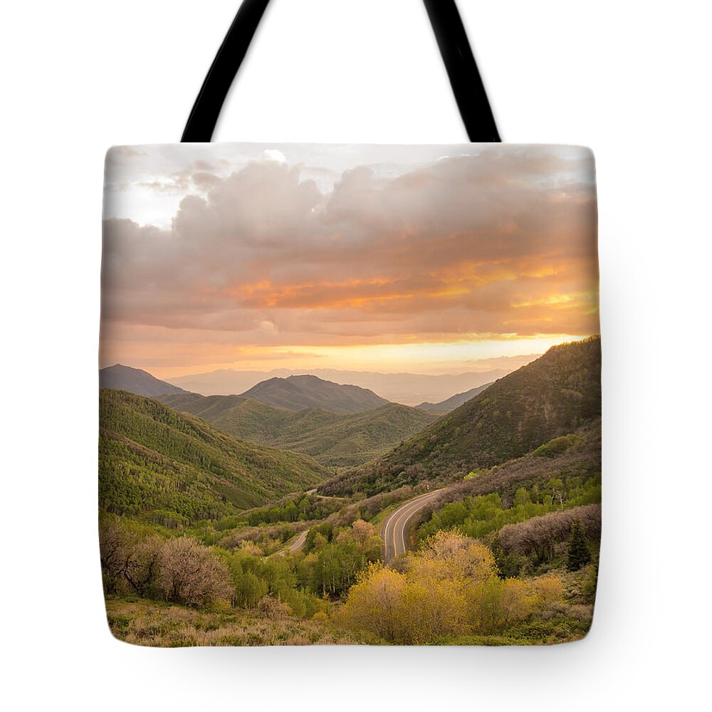 Utah Tote Bag featuring the photograph Silence is Golden by Emily Dickey