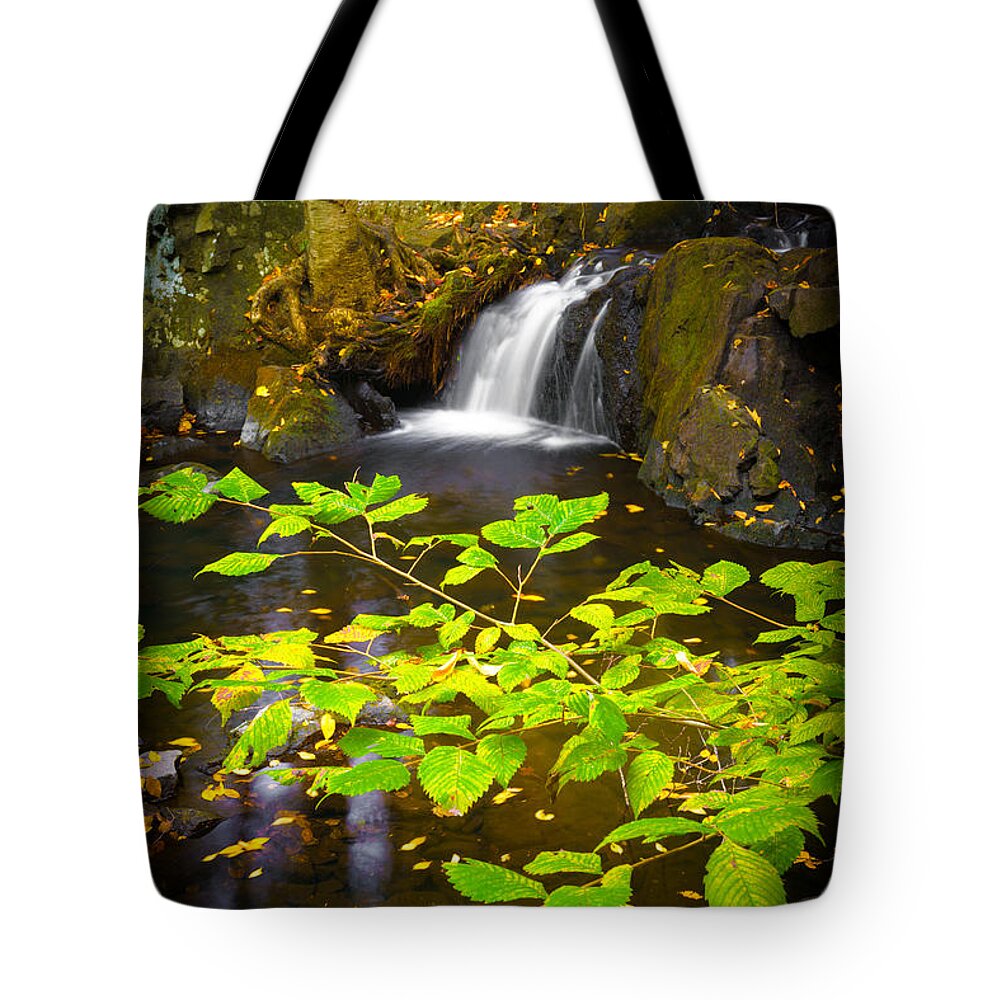 Leaves Tote Bag featuring the photograph Silent Brook by Mark Rogers