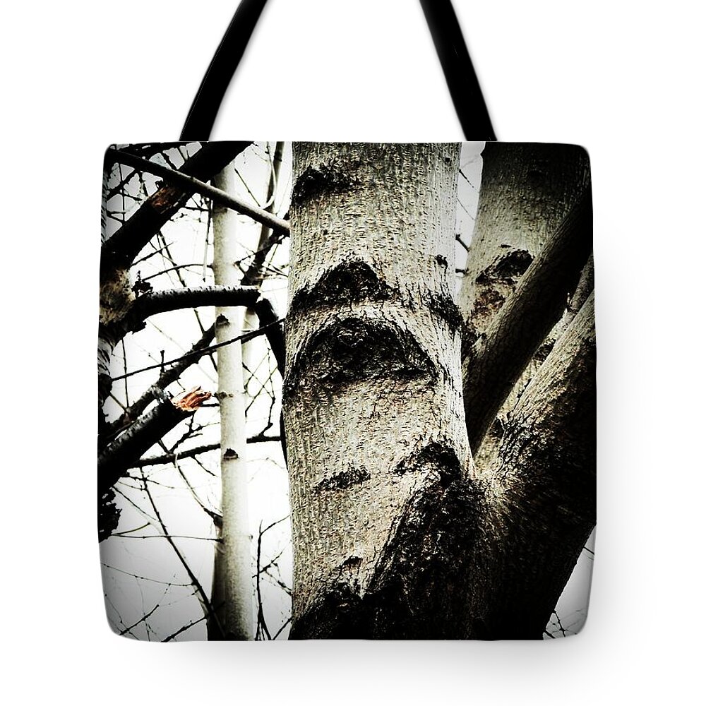 Tree Tote Bag featuring the photograph Silent Witness by Zinvolle Art