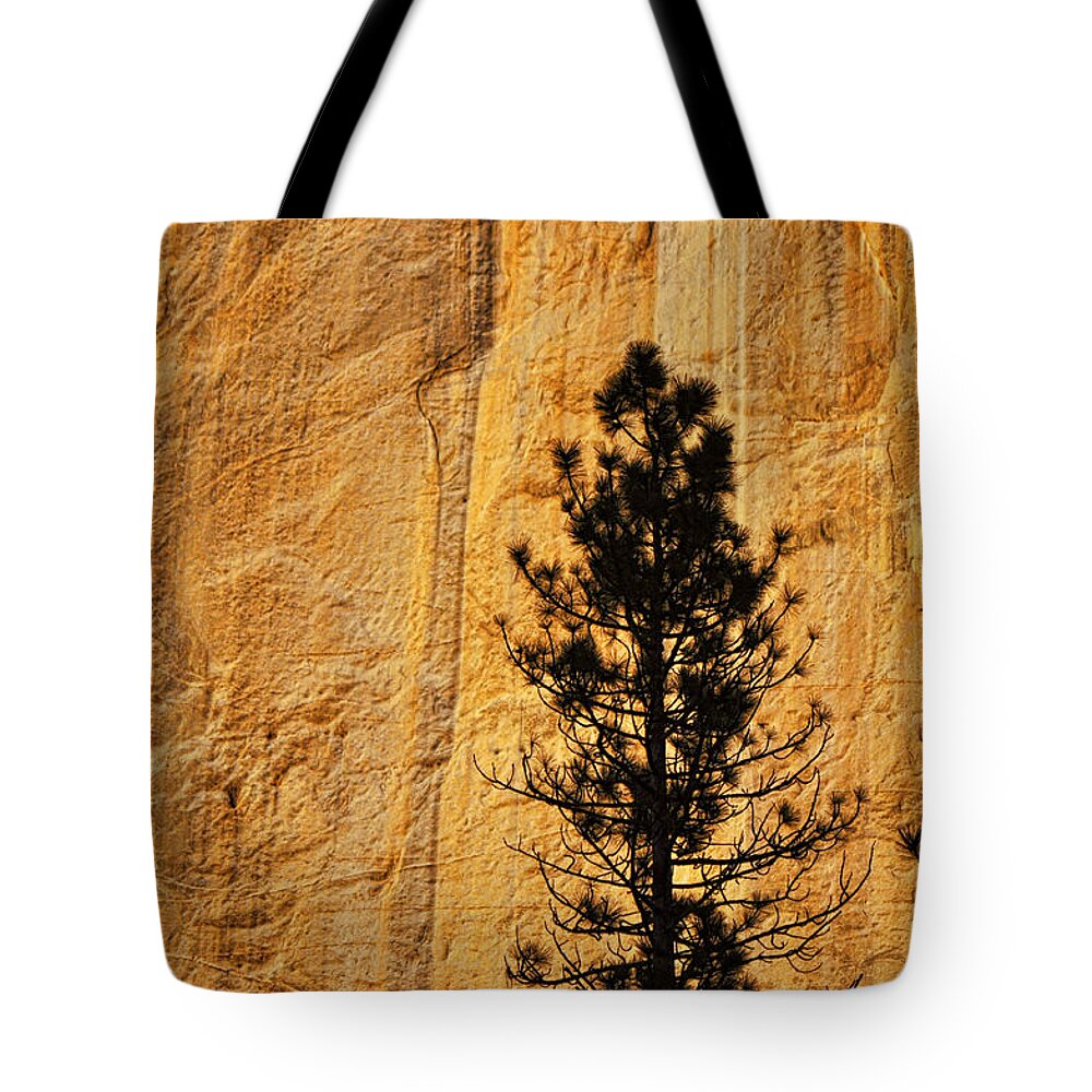  Tote Bag featuring the photograph Silhouette - El Capitan by Dana Sohr