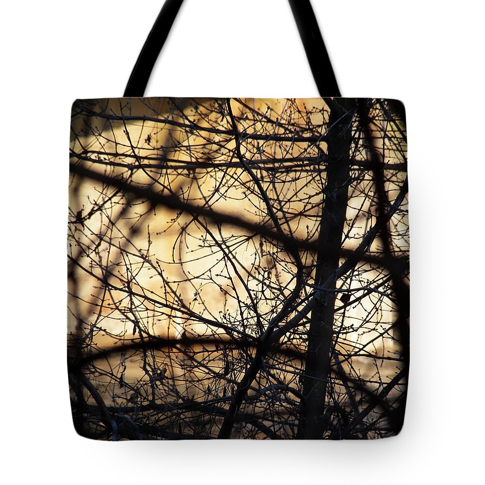 Silhouette Tote Bag featuring the photograph Silhouette Over Orange by Corinne Elizabeth Cowherd