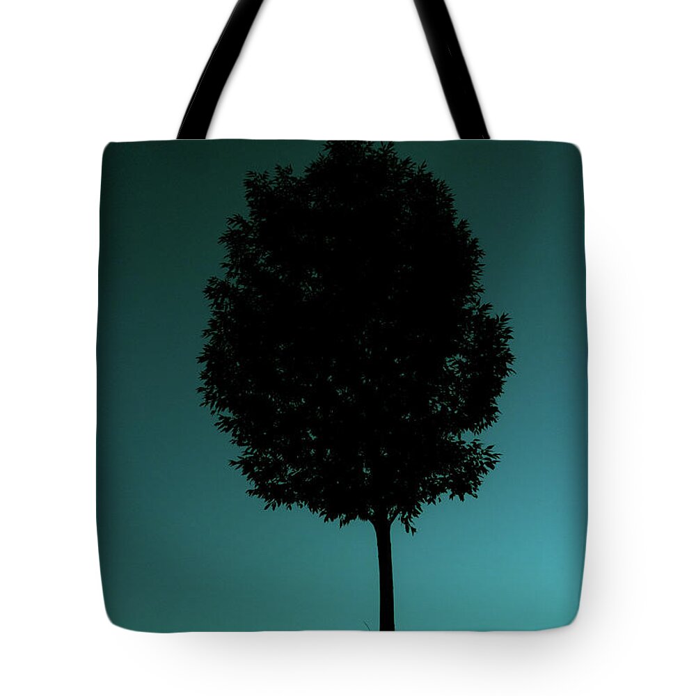 Ash Tree Tote Bag featuring the photograph Silhouetted Tree Against Cyan Sky by Emrold