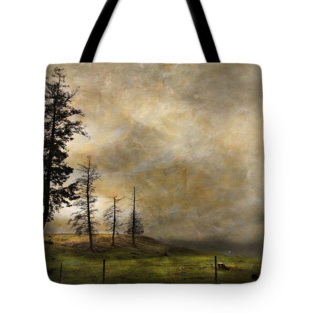 Country Tote Bag featuring the photograph Silhouettes In The Storm by Theresa Tahara