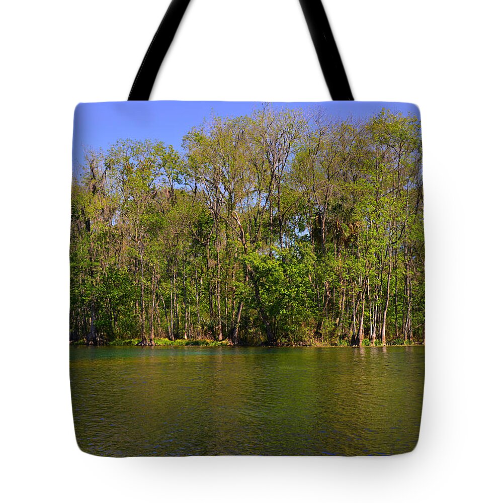 Silver Tote Bag featuring the photograph Silver Springs - Old-style Florida by Alexandra Till