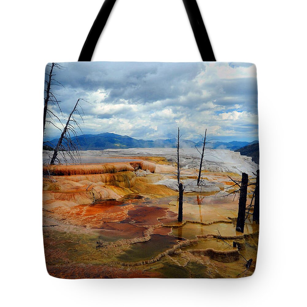 Yellowstone Tote Bag featuring the photograph Simmering Color by Richard Gehlbach