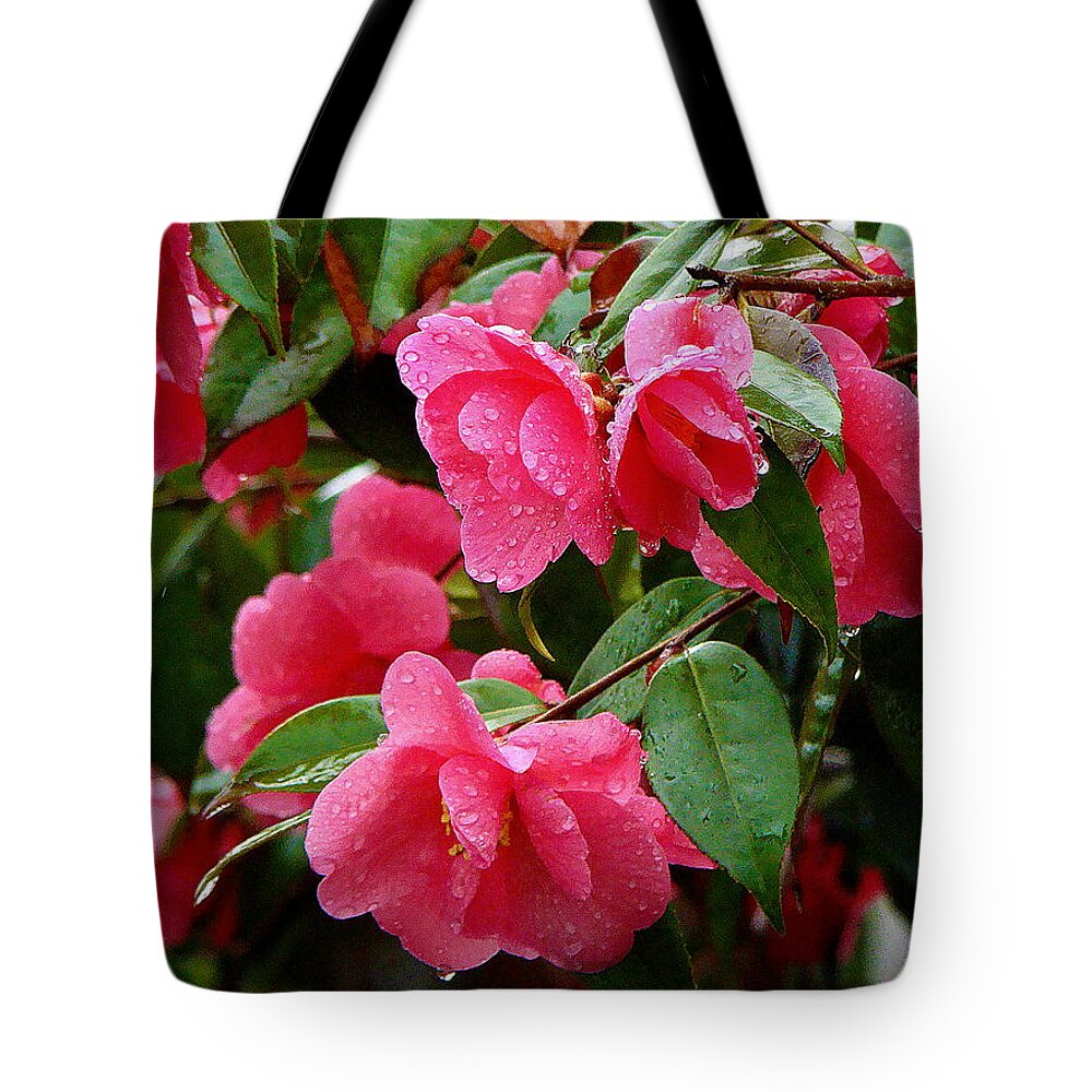 Fine Art Tote Bag featuring the photograph Simple Pleasure by Rodney Lee Williams