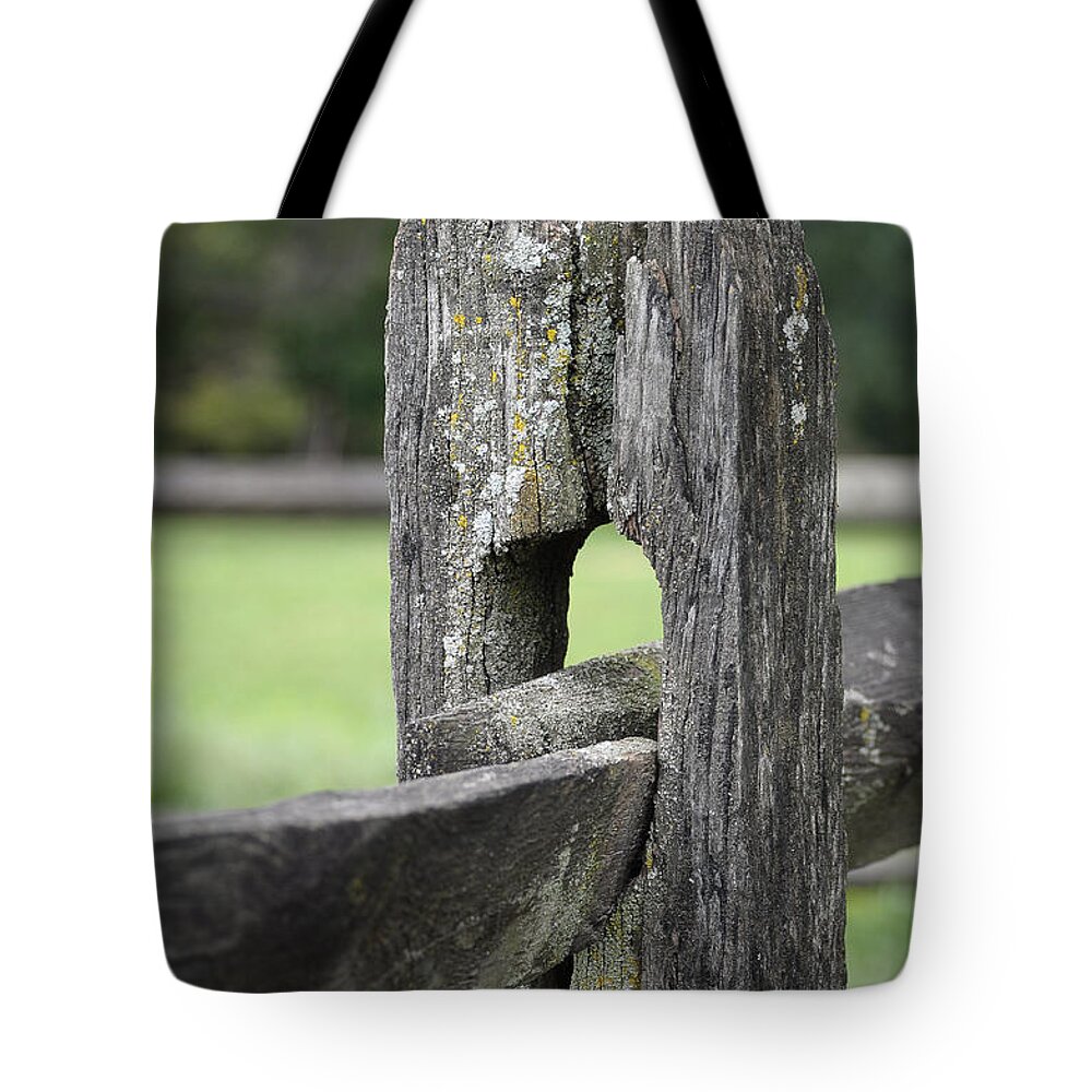 Landscapes Tote Bag featuring the photograph Simplicity by Lisa Phillips