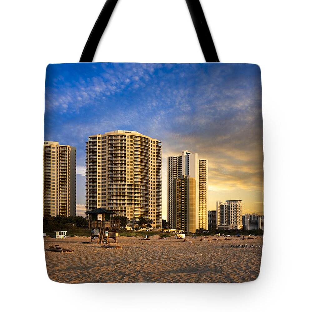 Bird Tote Bag featuring the photograph Singer Island by Debra and Dave Vanderlaan