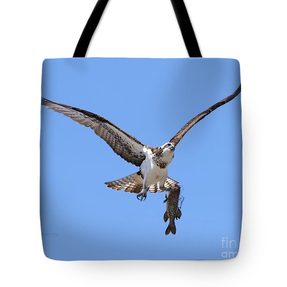 Bird Tote Bag featuring the photograph Single handed by Heather King