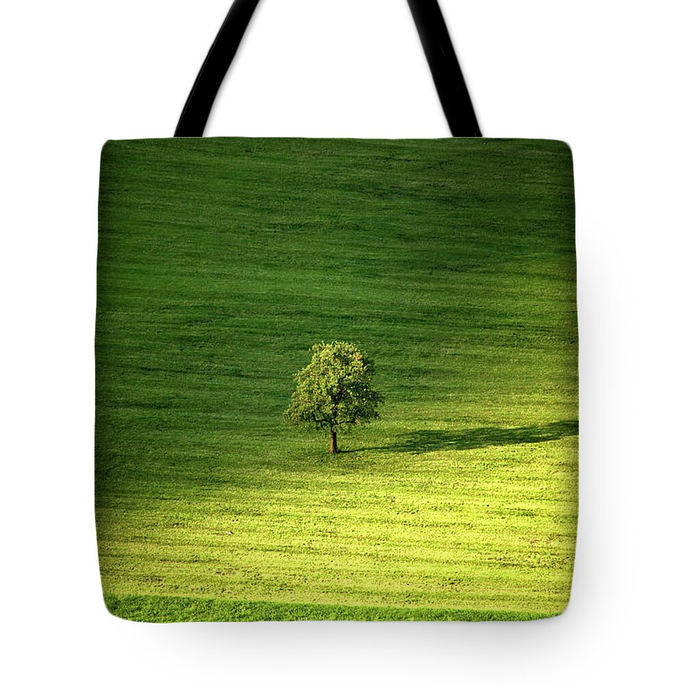 Tranquility Tote Bag featuring the photograph Single Tree In A Green Field, Obwalden by Svjetlana