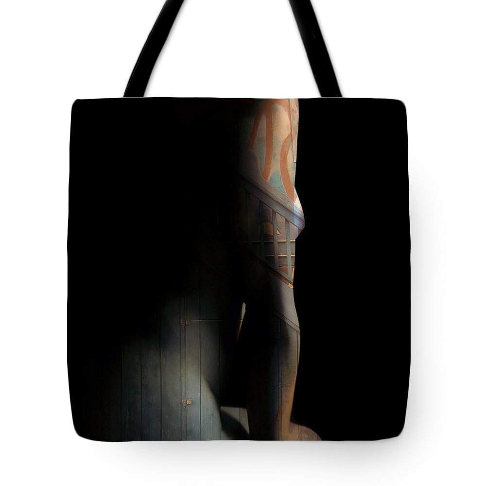 Woman Tote Bag featuring the photograph Sitting Pretty by Donna Blackhall