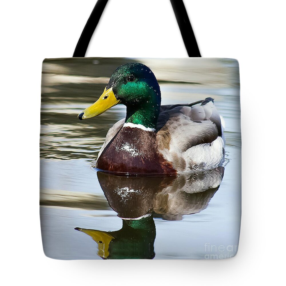 Duck Tote Bag featuring the photograph Sitting Pretty by Nikki Vig