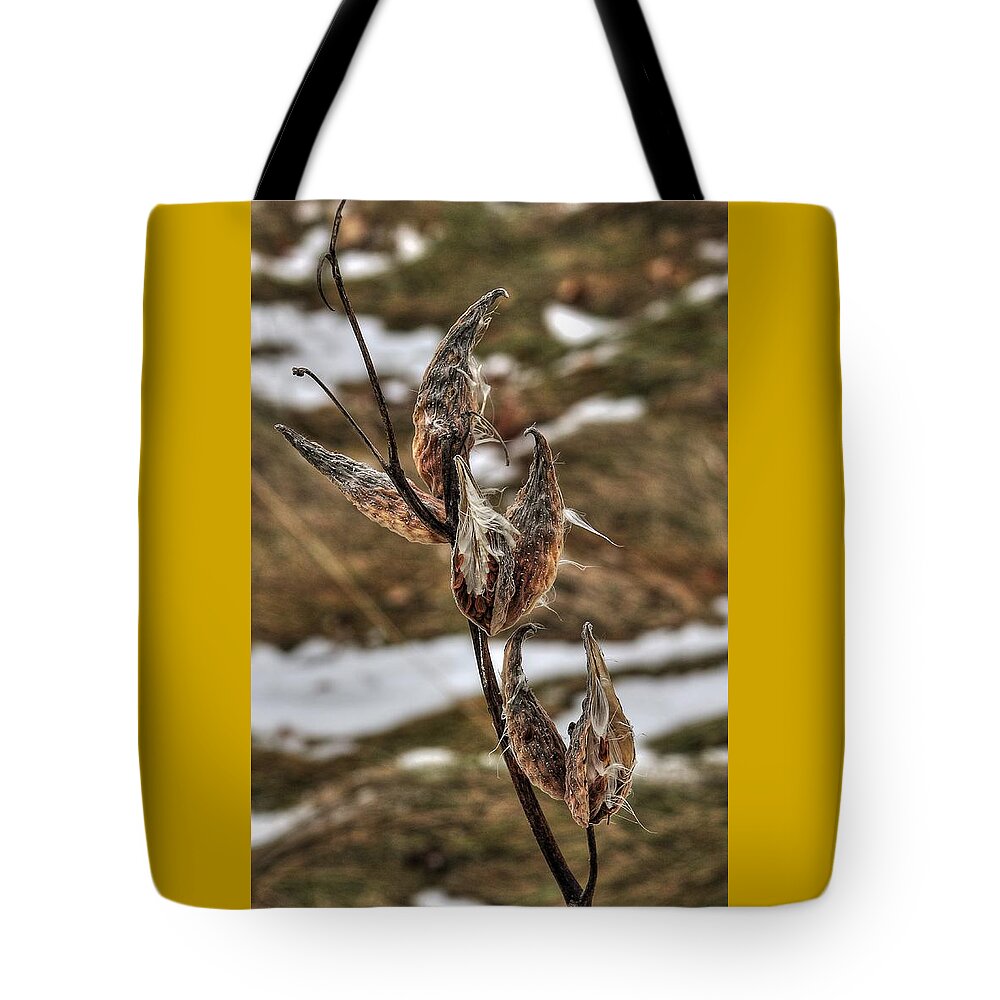 Milkweed Tote Bag featuring the photograph Six Milkweed Pods by Karl Anderson