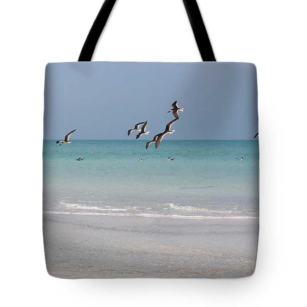 Skimmers Tote Bag featuring the photograph Skimmers and Seagulls by Jayne Carney