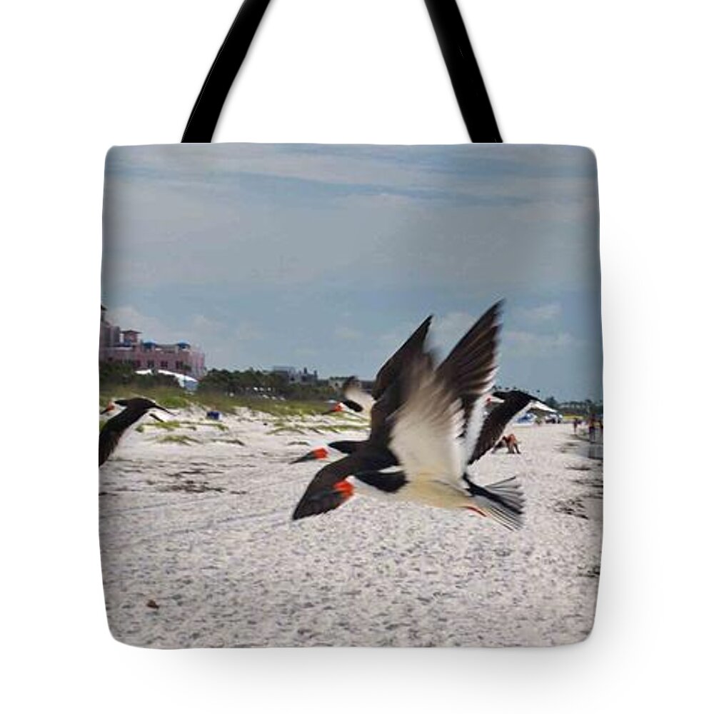 Beach Tote Bag featuring the photograph Black Skimmers at Don Cesar by George D Gordon III