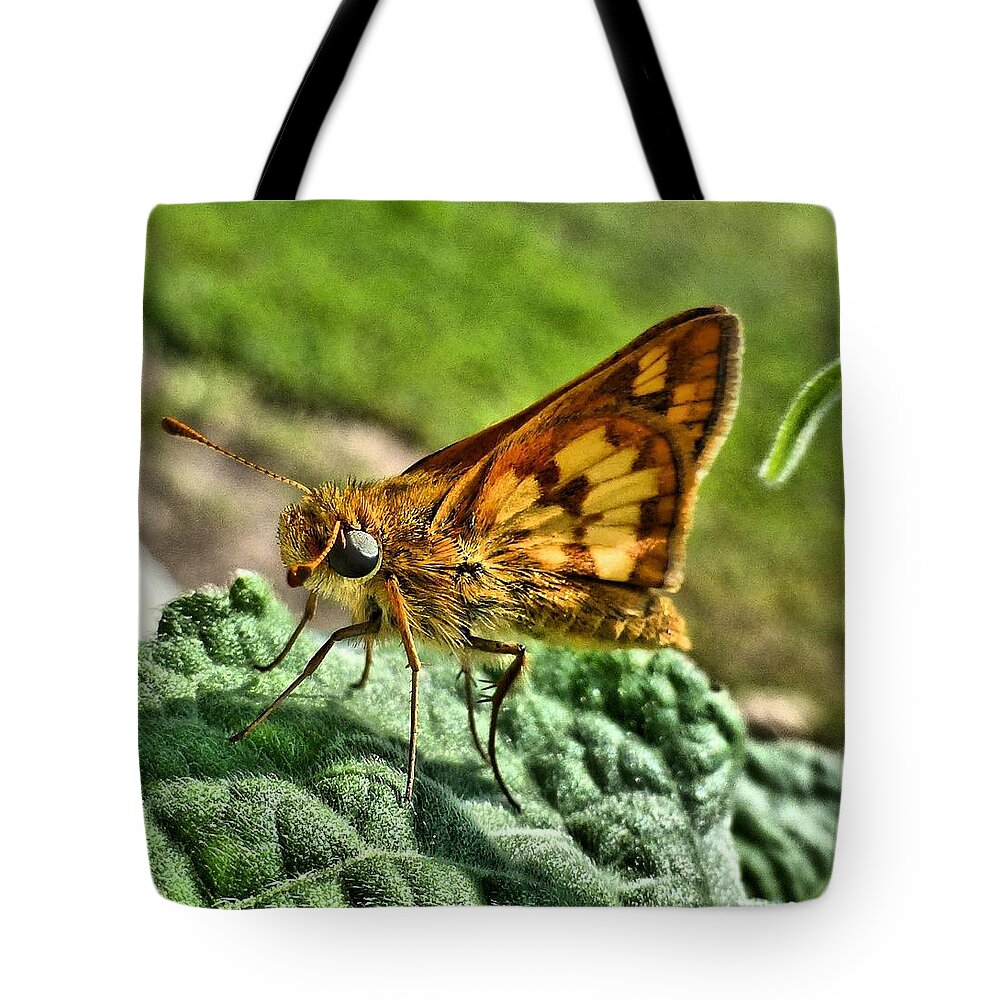 Butterfly Tote Bag featuring the photograph Skipper by Jennifer Wheatley Wolf
