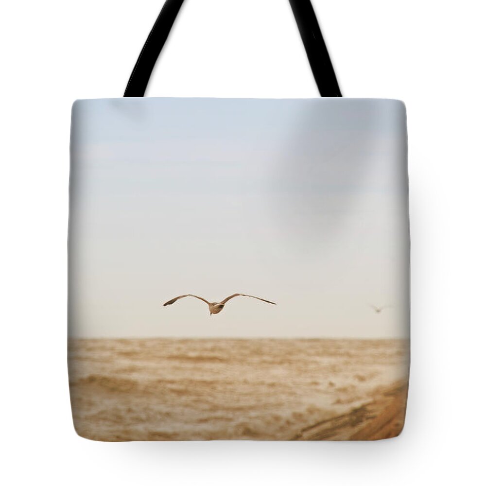 Seagull Tote Bag featuring the photograph Sky Surfing by Max Mullins