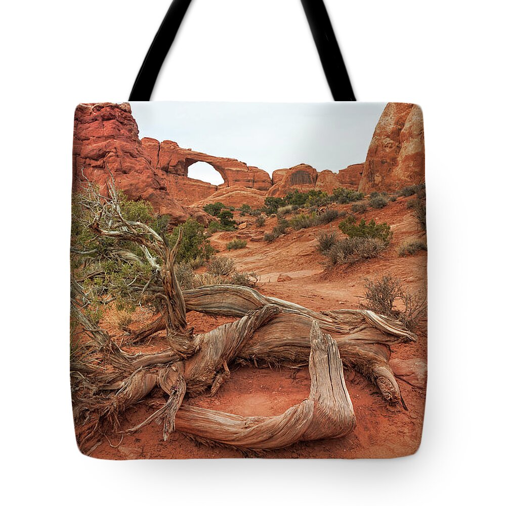 Cedar Tree Tote Bag featuring the photograph Skyline Arch, Arches National Park by Fotomonkee