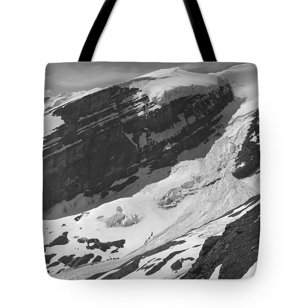 Avalanche Tote Bag featuring the photograph Slab Avalanche on Mt. Anne Alice by Ed Cooper Photography
