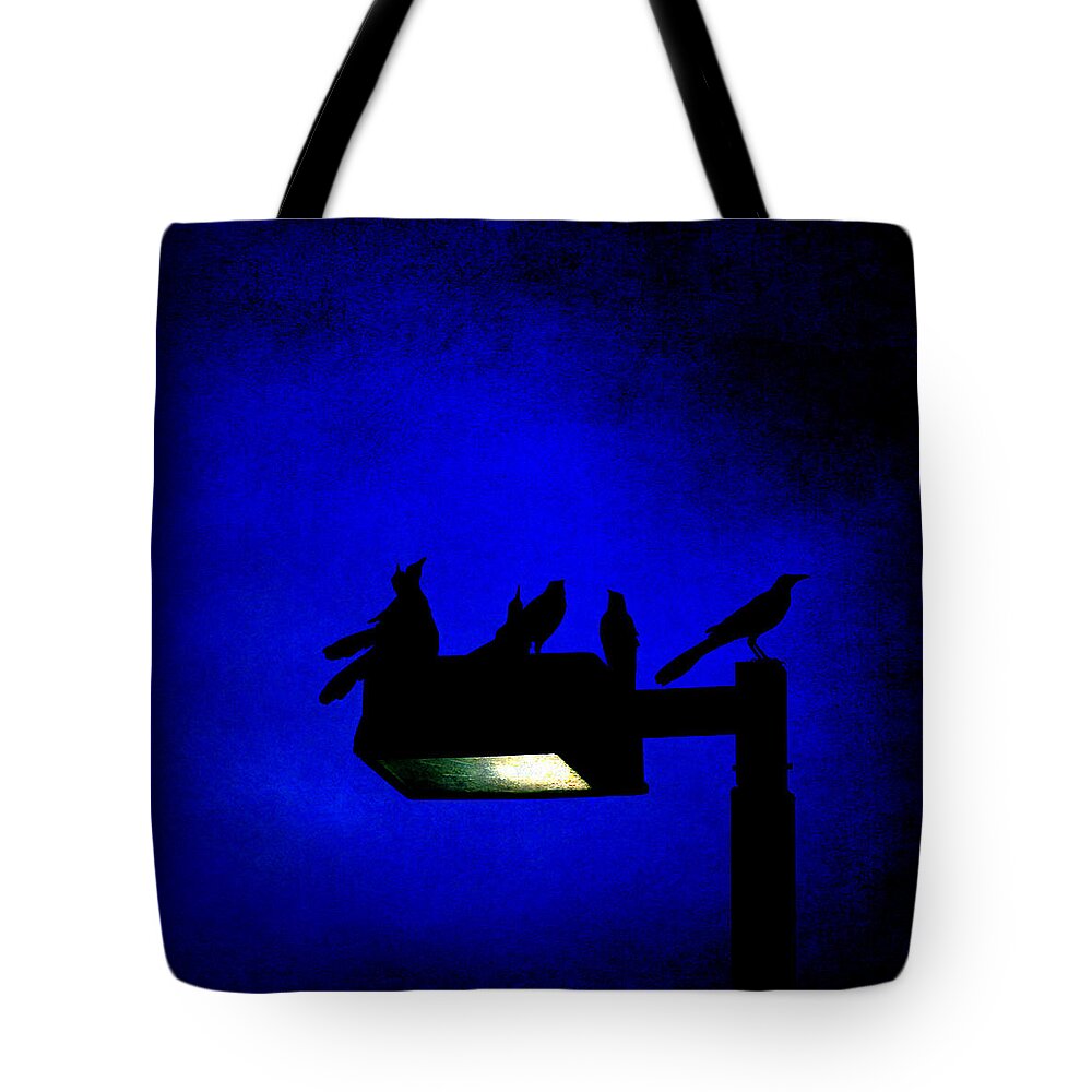 Birds Tote Bag featuring the photograph Sleepless at Midnight by Trish Mistric