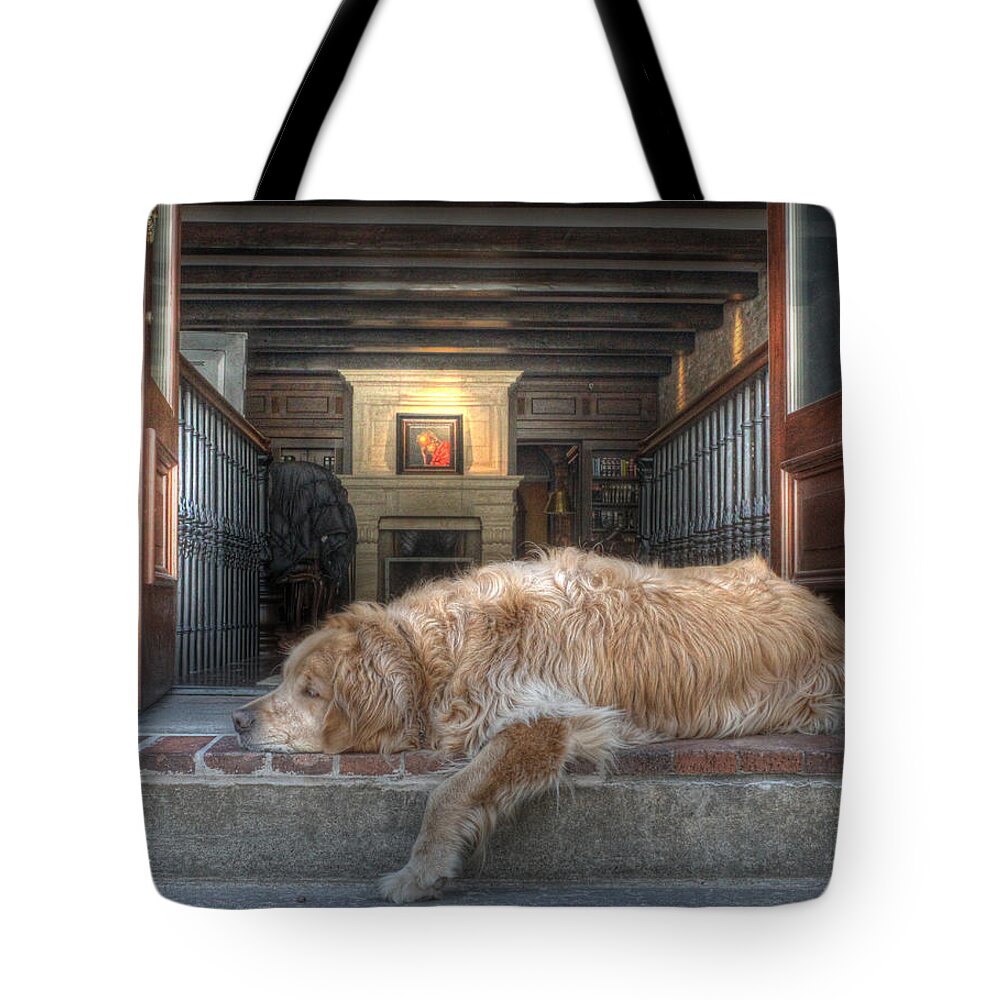 Dog Tote Bag featuring the photograph Slow Day at the Office by J Laughlin