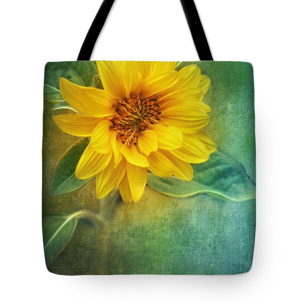 Photo Tote Bag featuring the photograph Small Sunflower by Jutta Maria Pusl