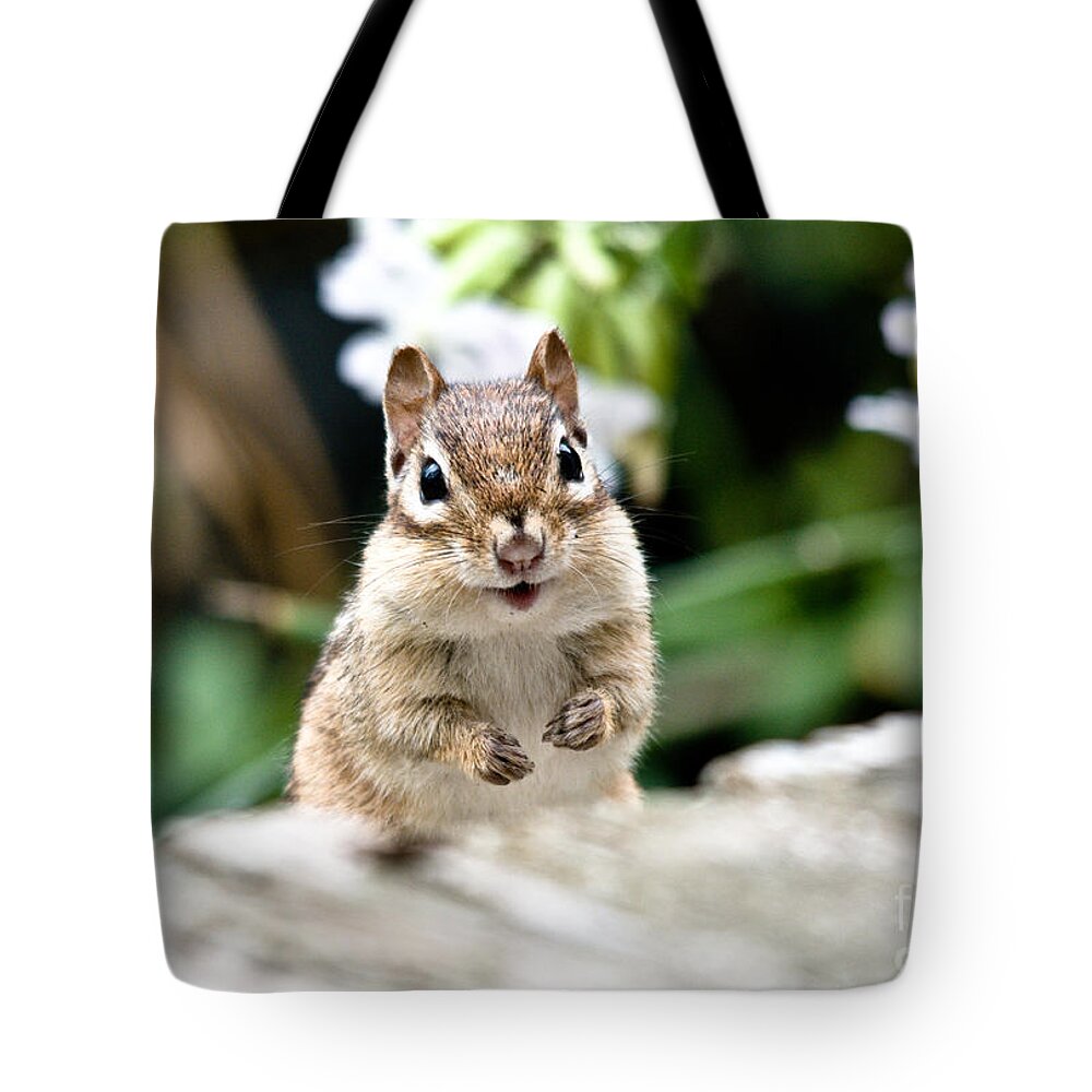 Chipmunk Tote Bag featuring the photograph Smiling Chipmunk by Cheryl Baxter