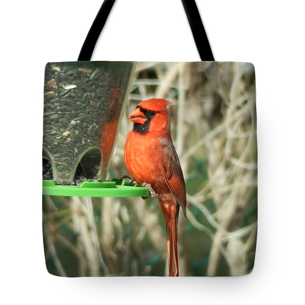 Bird Tote Bag featuring the photograph Snack time by Betty-Anne McDonald