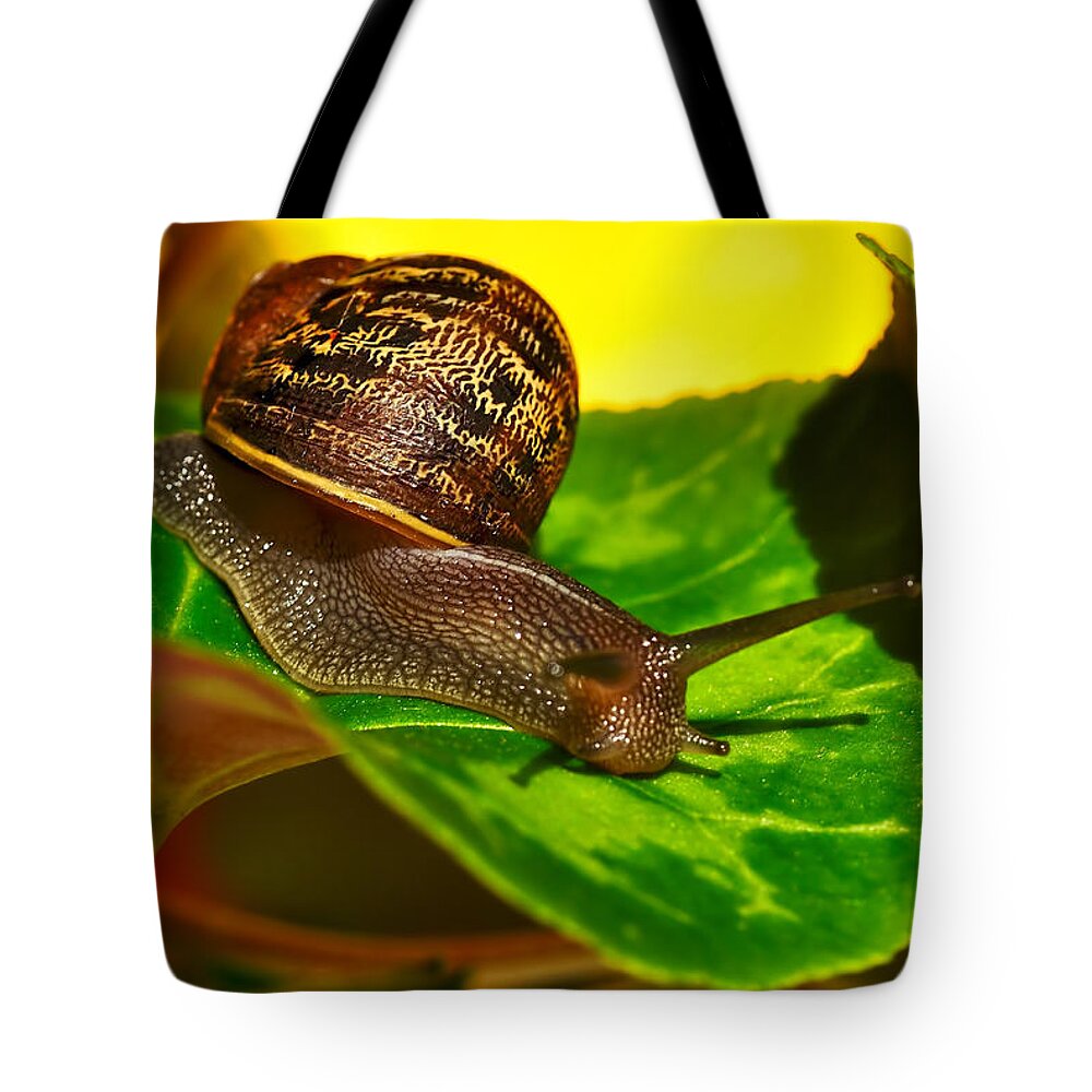 Photography Tote Bag featuring the photograph Snail in Colorful Habitat by Kaye Menner
