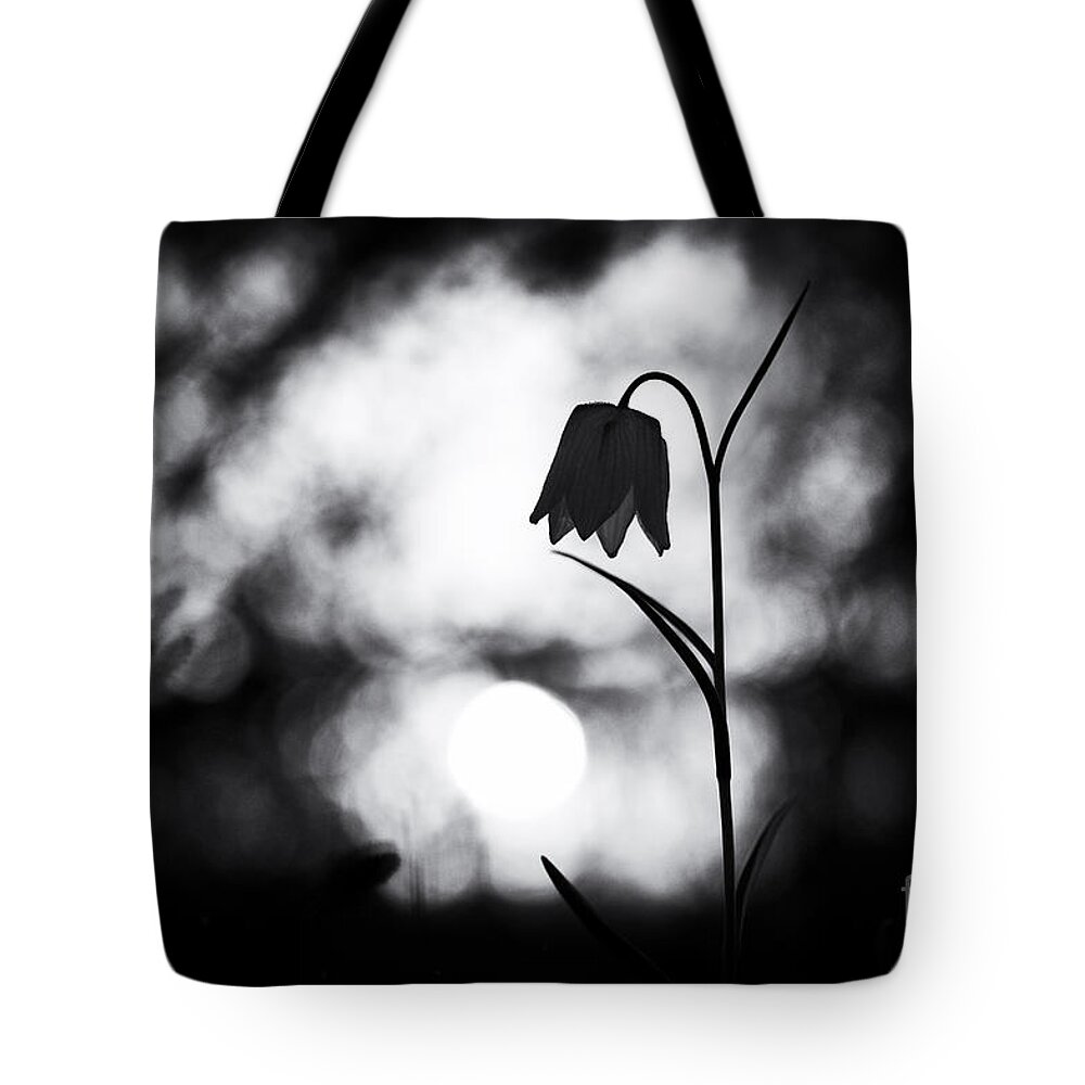 Fritillaria Meleagris Tote Bag featuring the photograph Snakes Head Fritillary Monochrome by Tim Gainey