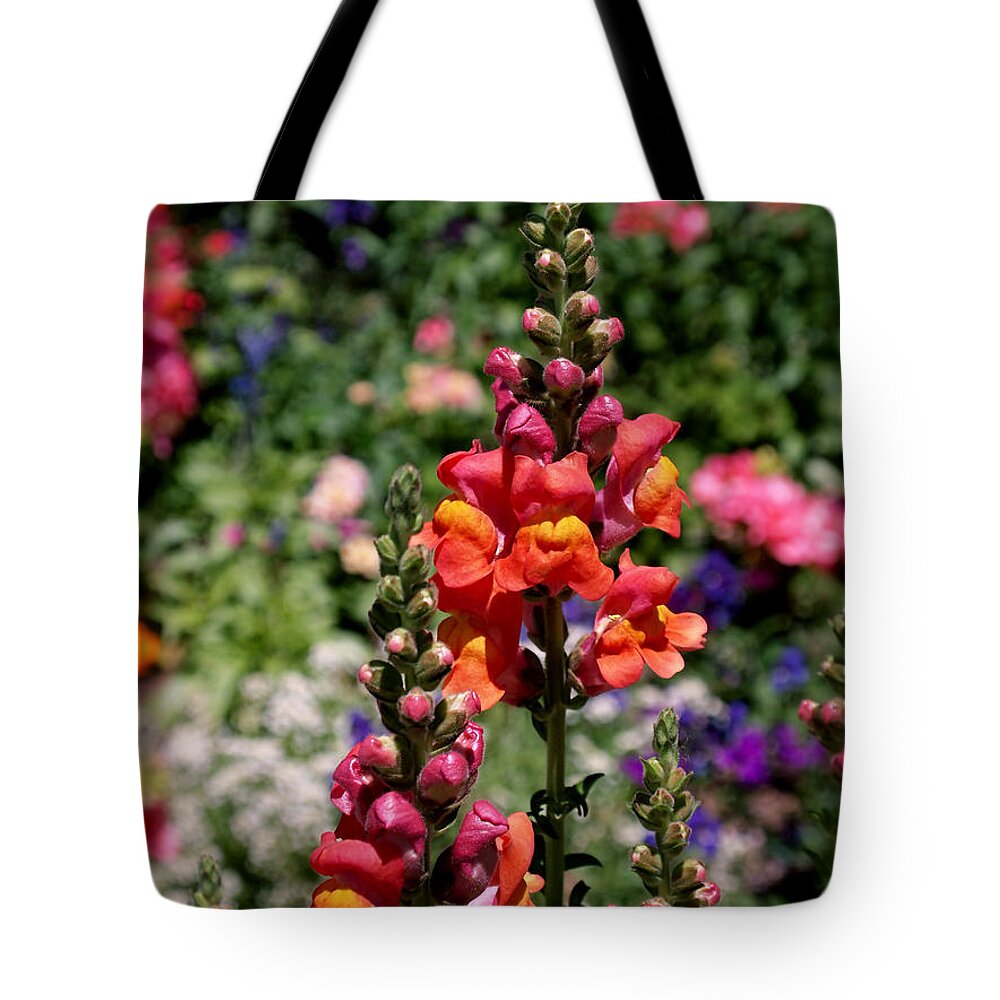 Snapdragons Tote Bag featuring the photograph Snapdragons by Rona Black
