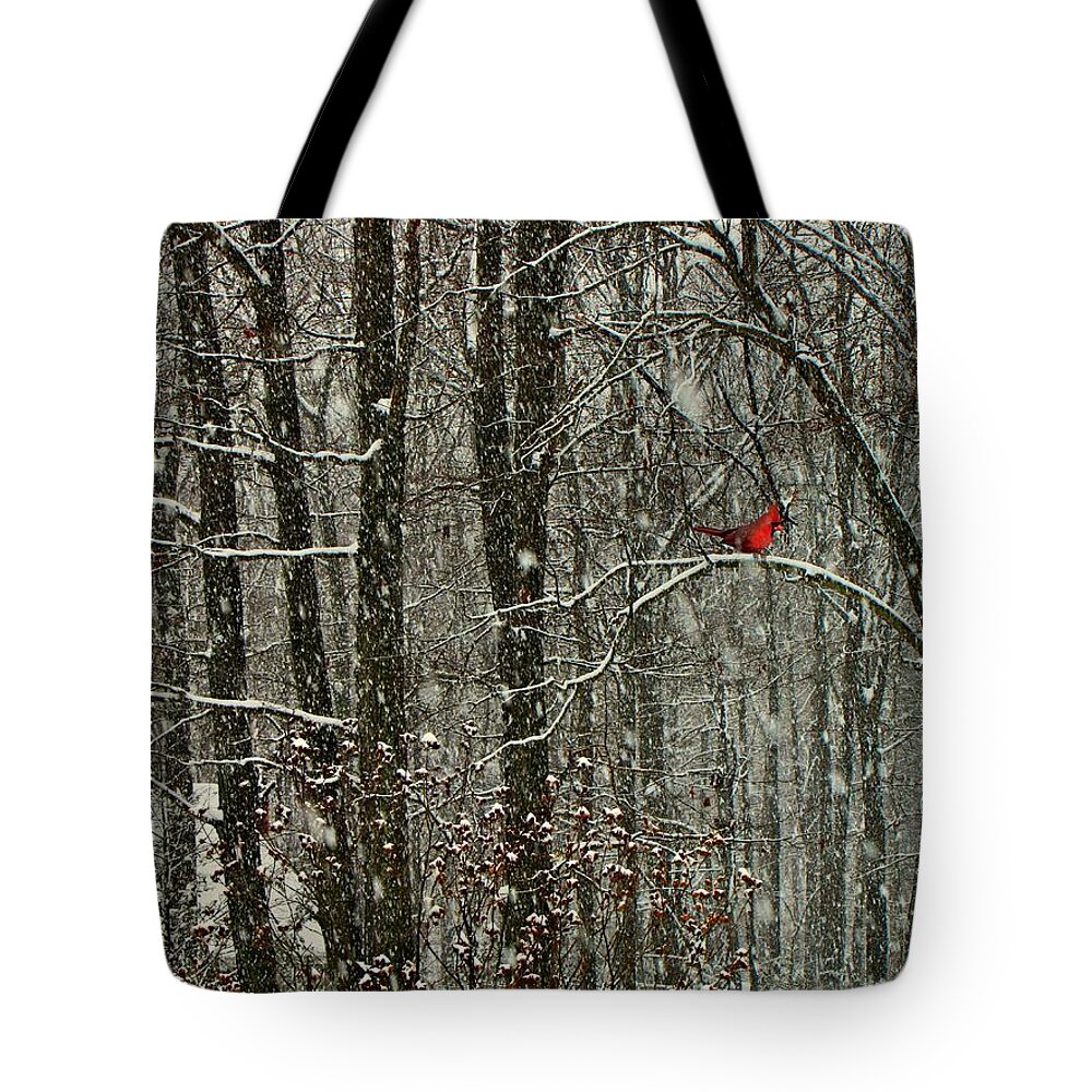 Cardinal Tote Bag featuring the photograph Snow Bird by David Dehner