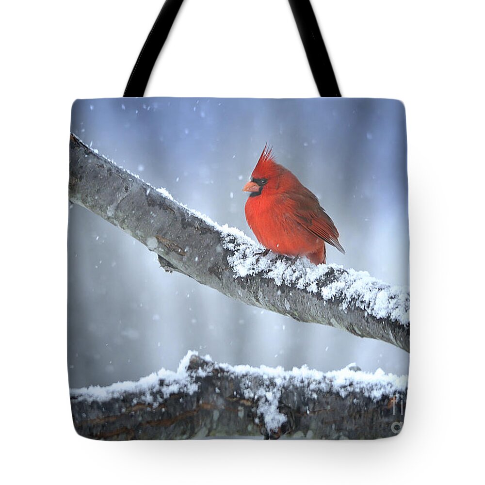 Nature Tote Bag featuring the photograph Snow Bird by Nava Thompson
