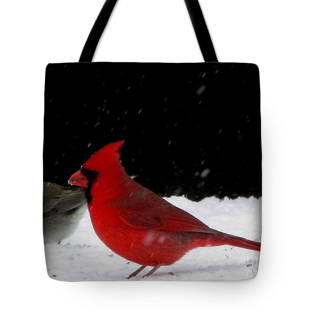 Snow Birds Of North America Snow Finch And Cardinal Red Birds Winter Birds Of The Chesapeake Bay Region Winter Song Birds Winter Wildlife Images Bird Prints Little Gray Bird In The Snow Tote Bag featuring the photograph Snow Birds by Joshua Bales