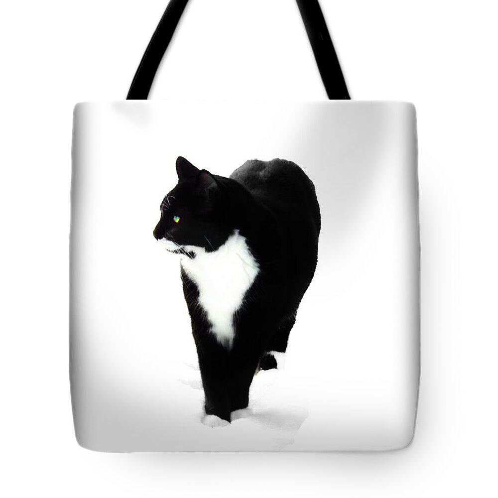 Black And White Cat Tote Bag featuring the photograph Snow Cat Three by Priscilla Batzell Expressionist Art Studio Gallery