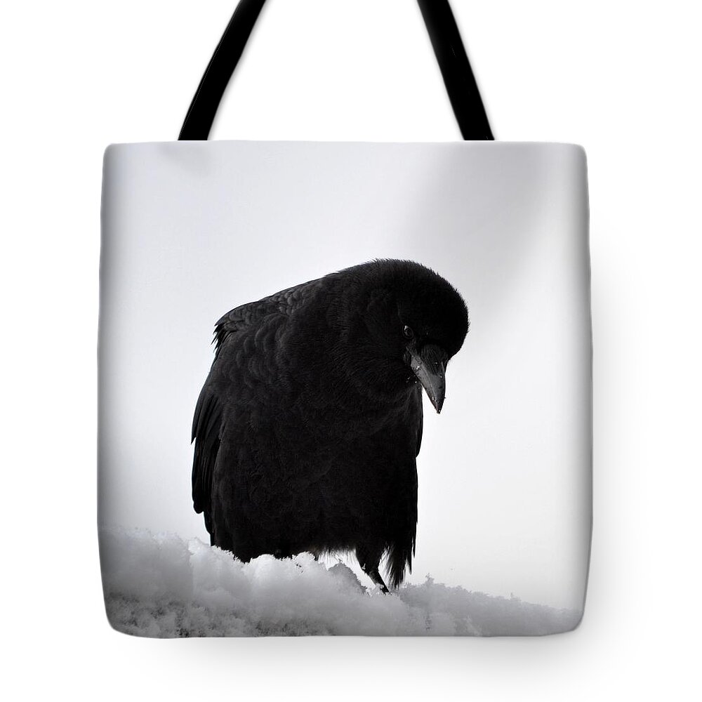Crow In Snow ~limited Addition - 7 Of 10- Snow Crow- Crow Print- Gallery Image- Limited Edition(art-photography Images By Rae Ann M. Garrett- Raeann Garrett) Tote Bag featuring the photograph Snow Crow -edition 8 of 10 by Rae Ann M Garrett