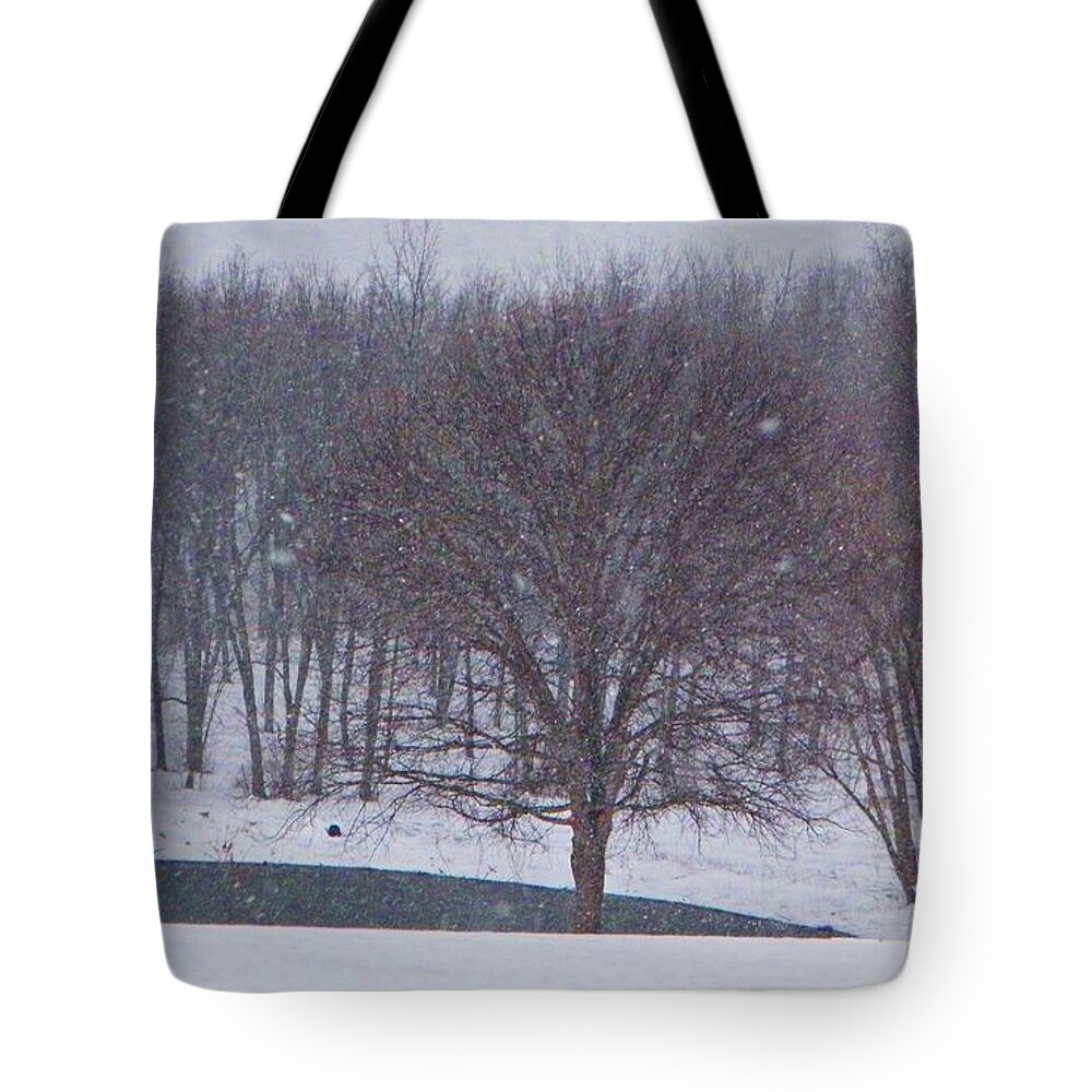 Snow Tote Bag featuring the photograph Snow Day by Chris Berry