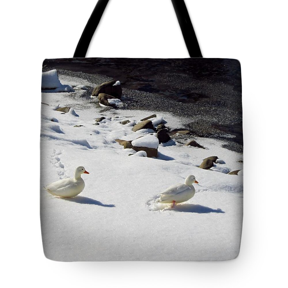 Ducks Tote Bag featuring the photograph Snow Ducks by Cynthia Clark