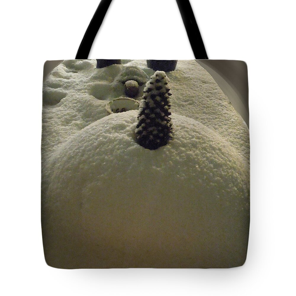 Colette Tote Bag featuring the photograph Snow Fall Serie December 2012 by Colette V Hera Guggenheim