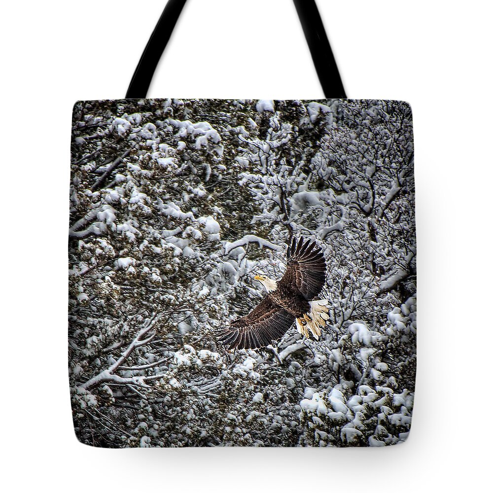 Bald Eagle Tote Bag featuring the photograph Snow Flight Bald by Britt Runyon