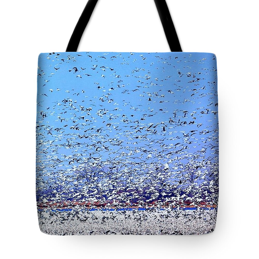Snow Geese Migration Tote Bag featuring the photograph Snow Geese Swarming by Elizabeth Winter