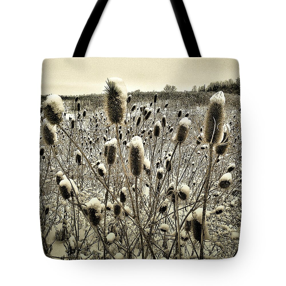 Thistles Tote Bag featuring the photograph Snow Hats by Michael Arend