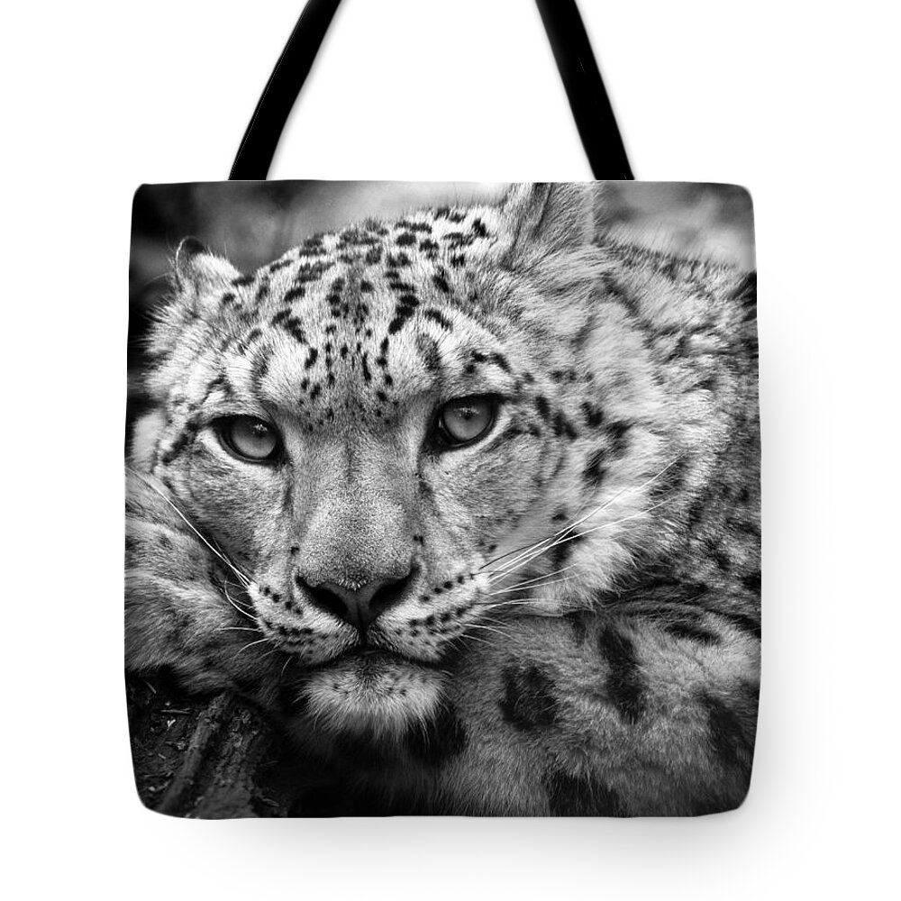 Animal Tote Bag featuring the photograph Snow Leopard in black and white by Chris Boulton